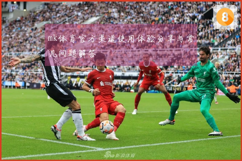 mk体育官方渠道使用体验分享与常见问题解答